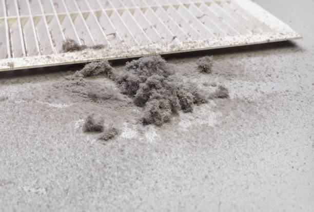 Best HVAC Air Duct Cleaning  in Eagleton Village, TN