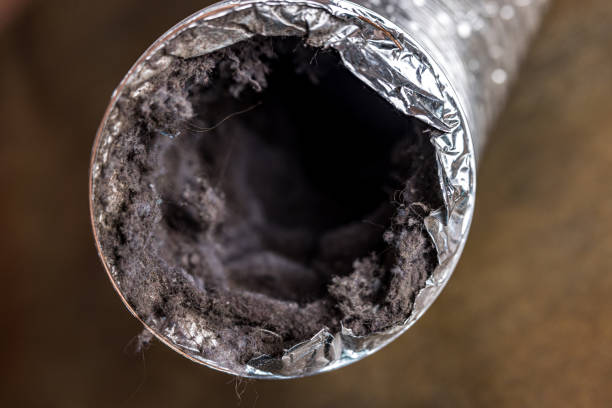 Best Professional Duct Cleaning Services  in Eagleton Village, TN
