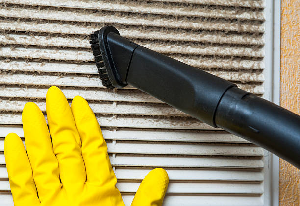 Best Home Air Vent Cleaning  in Eagleton Village, TN