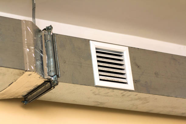 Best Local Air Duct Cleaning Services  in Eagleton Village, TN